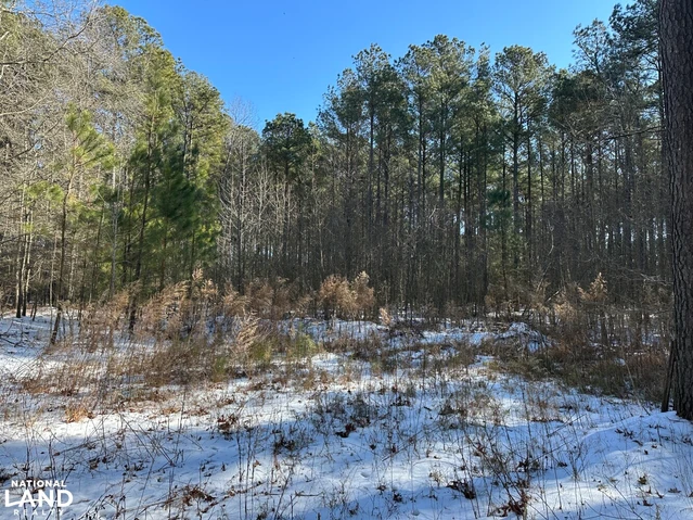 Nearby Listing Image