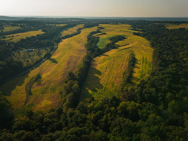 Nearby Listing Image