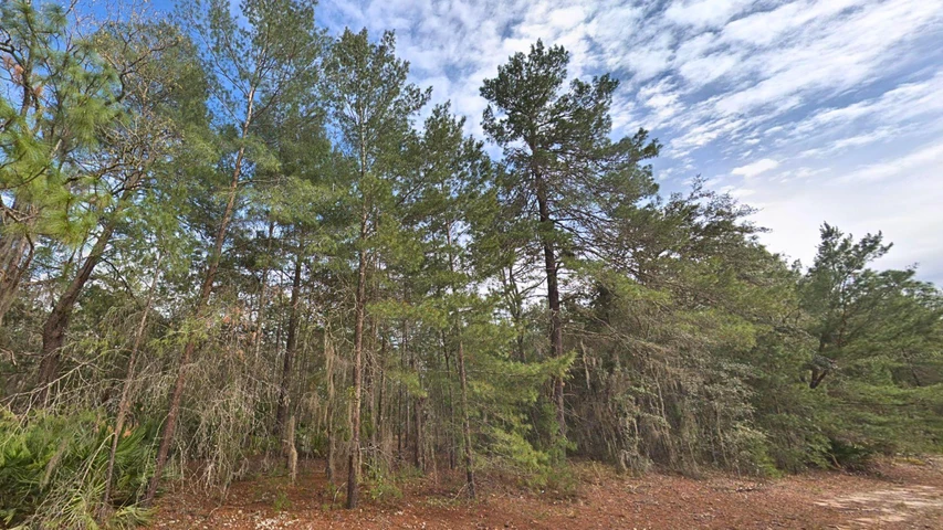 Nearby Listing Image