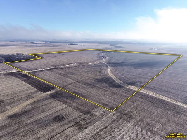 Nearby Listing Image