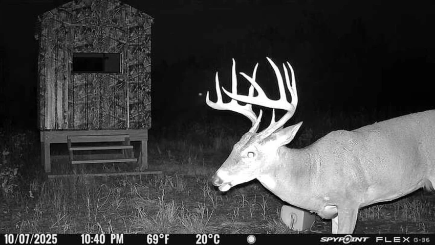 Nearby Listing Image