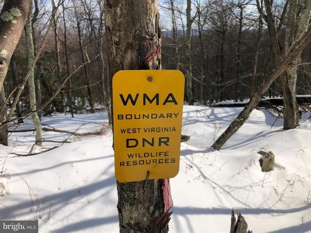 Nearby Listing Image