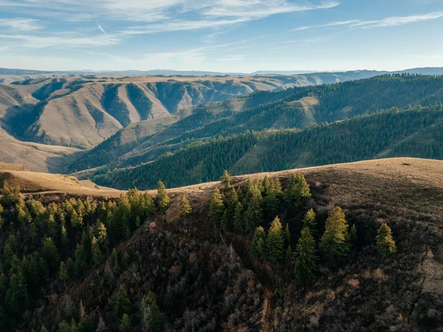 Nearby Listing Image