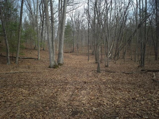 Nearby Listing Image