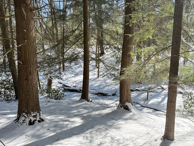 Nearby Listing Image