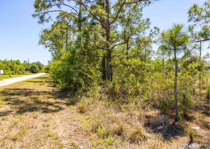 Nearby Listing Image