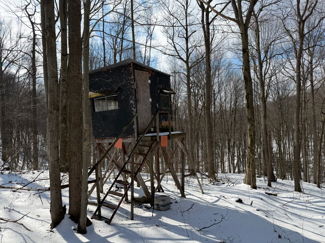 Nearby Listing Image