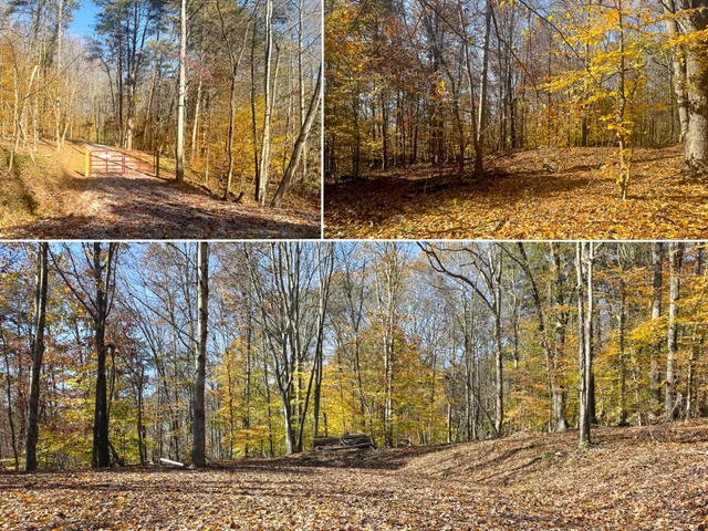 Nearby Listing Image