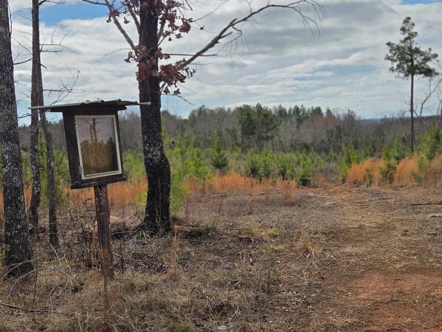 Nearby Listing Image