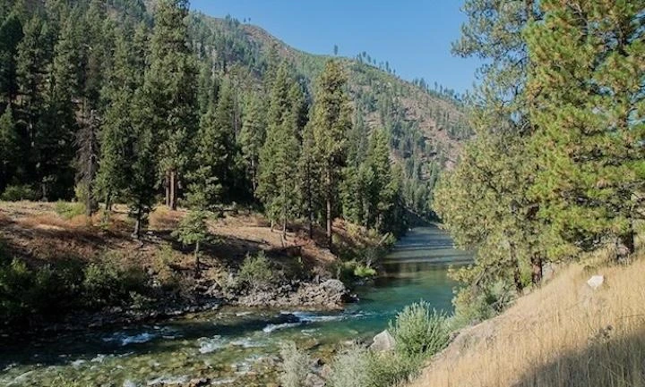 Nearby Listing Image