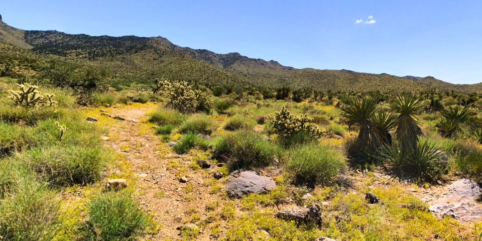 Nearby Listing Image