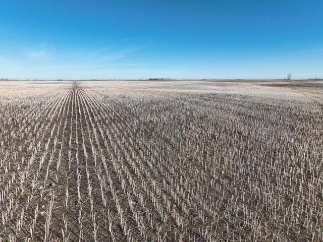 Nearby Listing Image