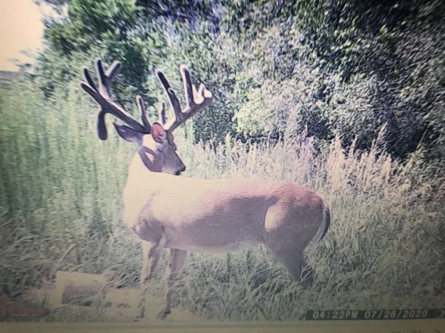 Nearby Listing Image