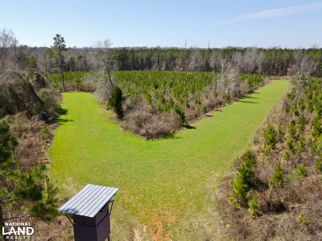 Nearby Listing Image