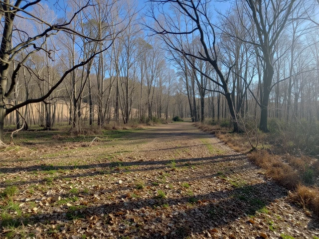 Nearby Listing Image