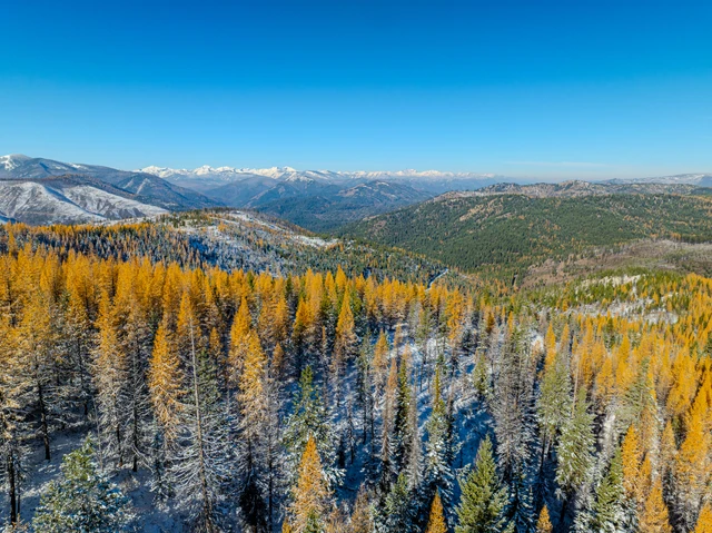 Nearby Listing Image