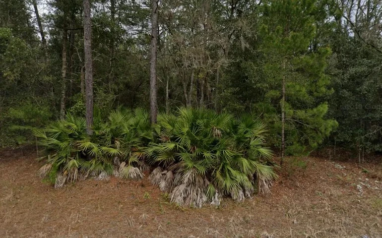 Nearby Listing Image