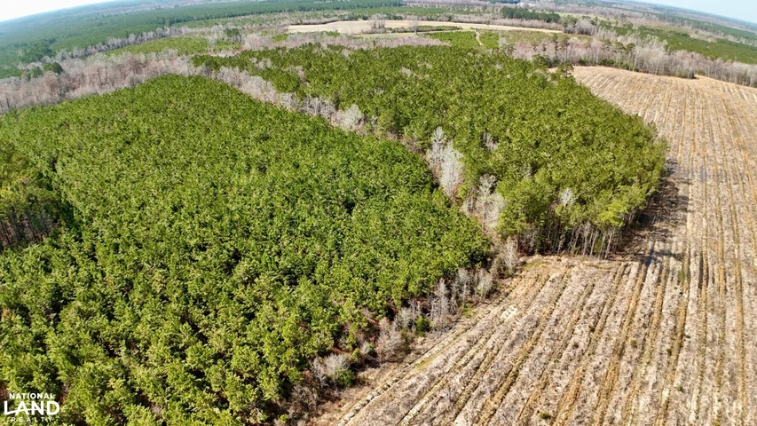 Nearby Listing Image