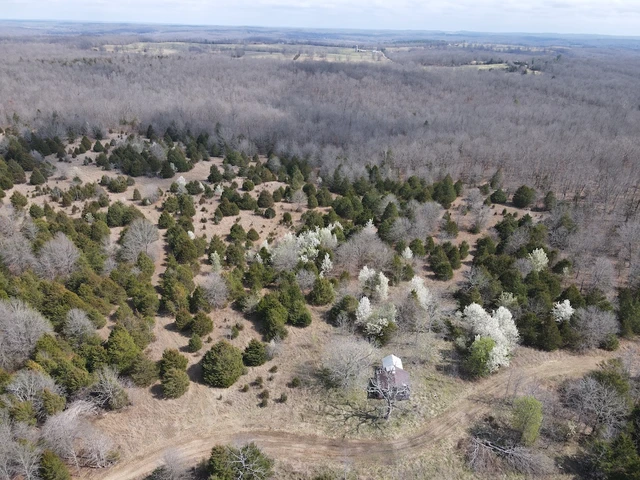 Nearby Listing Image