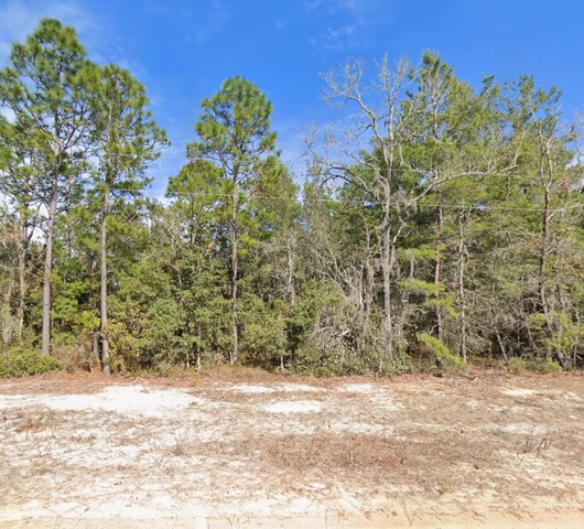 Nearby Listing Image