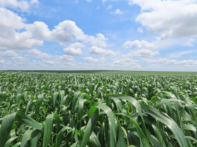 Nearby Listing Image