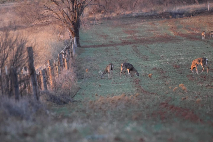 Nearby Listing Image