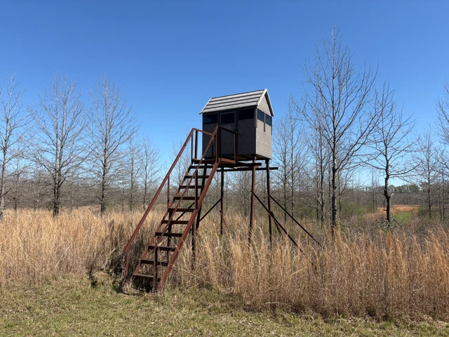 Nearby Listing Image