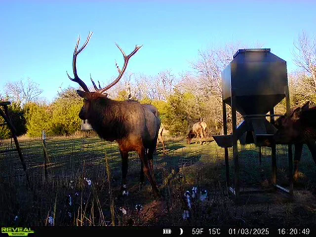 Nearby Listing Image