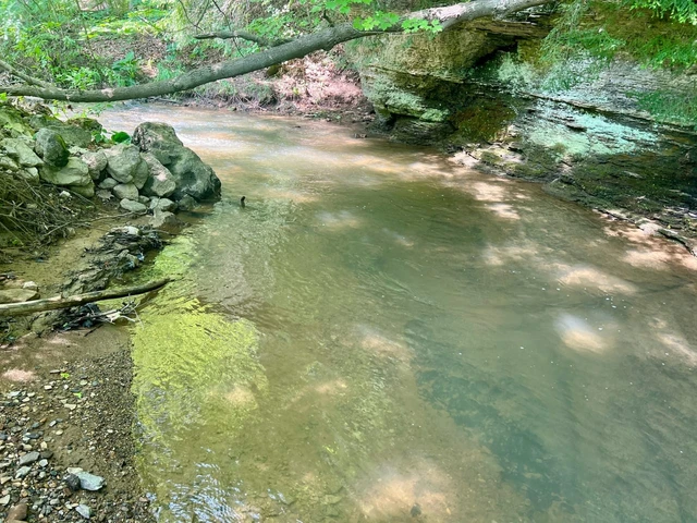 Nearby Listing Image