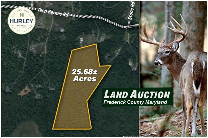 Nearby Listing Image