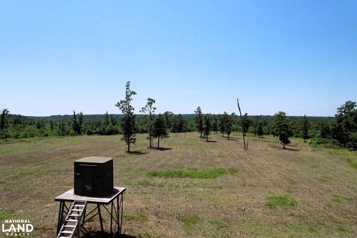 Nearby Listing Image