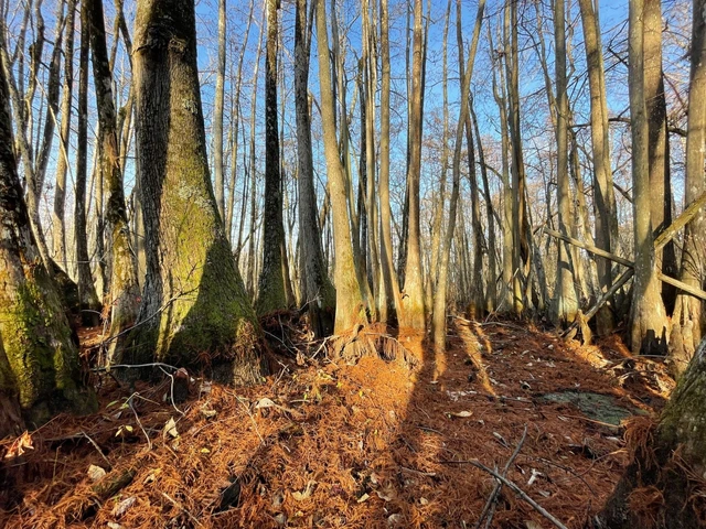 Nearby Listing Image