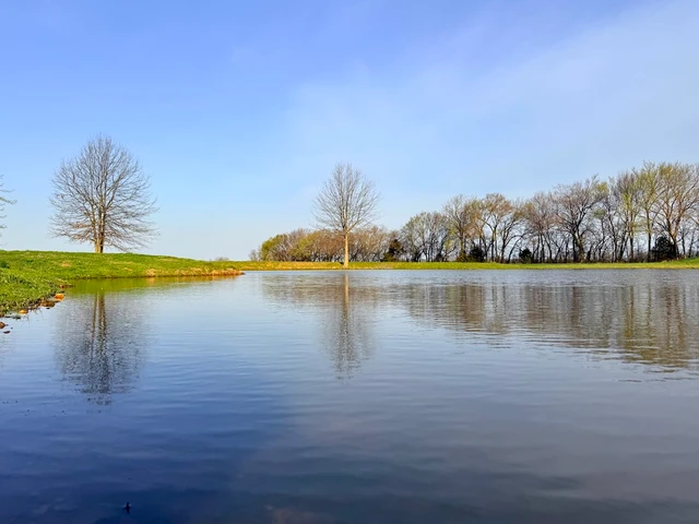 Nearby Listing Image