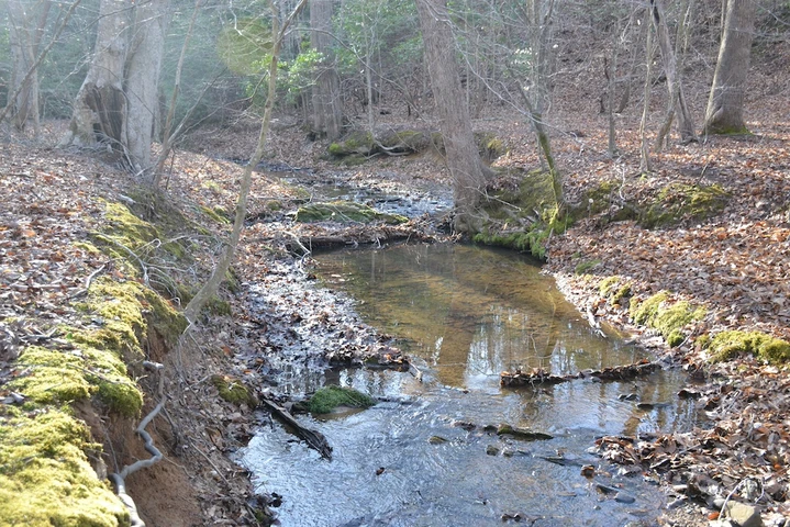 Nearby Listing Image