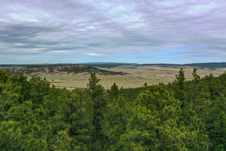 Nearby Listing Image