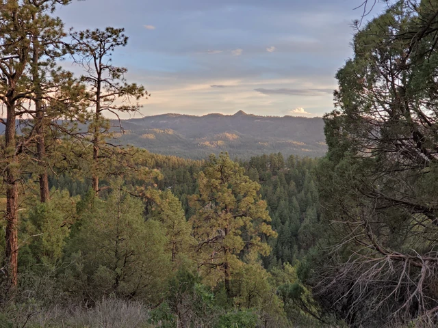 Nearby Listing Image