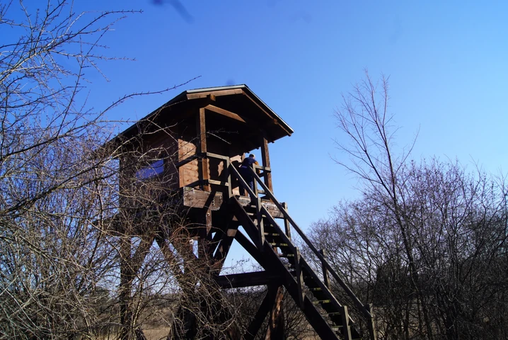 Nearby Listing Image