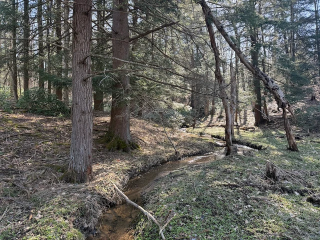 Nearby Listing Image