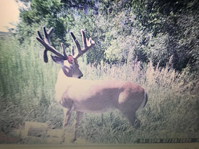 Nearby Listing Image