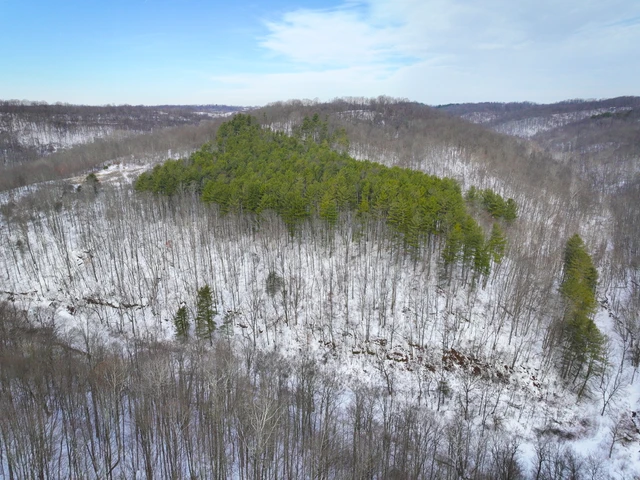 Nearby Listing Image