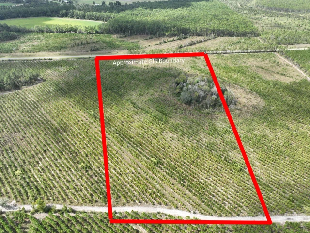 Nearby Listing Image