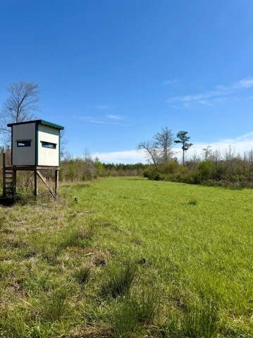 Nearby Listing Image