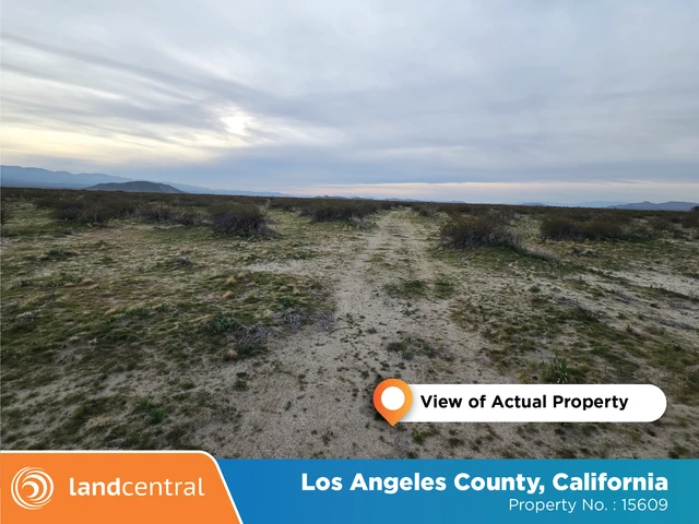 Nearby Listing Image