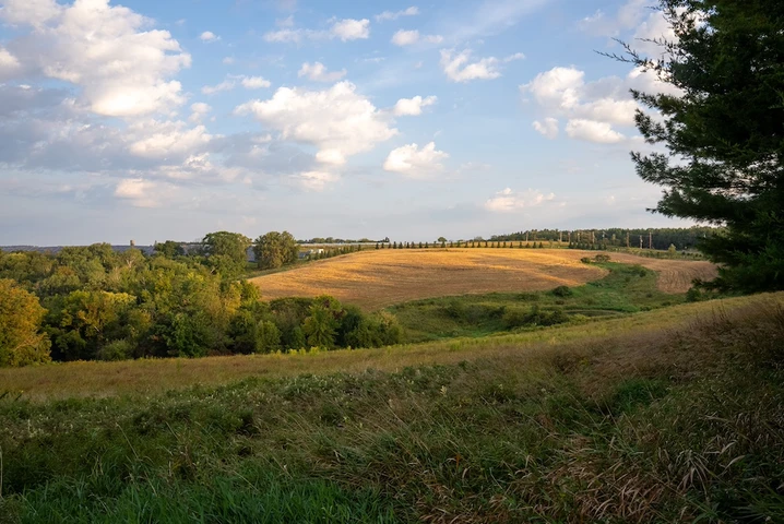 Nearby Listing Image