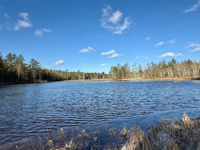 Nearby Listing Image