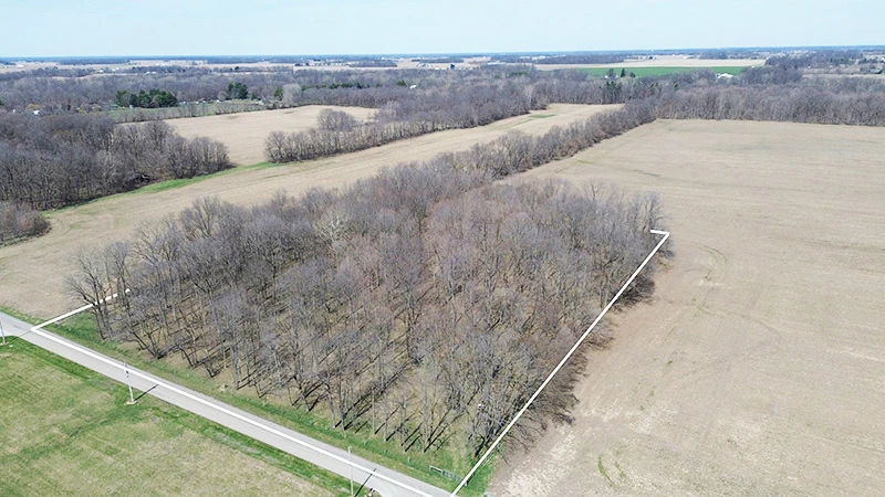 Nearby Listing Image