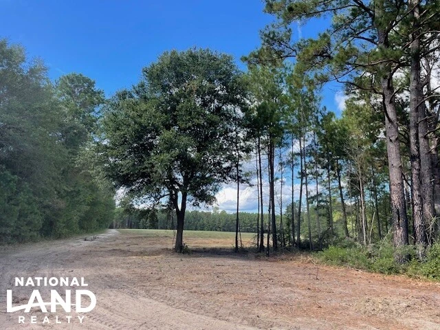 Nearby Listing Image