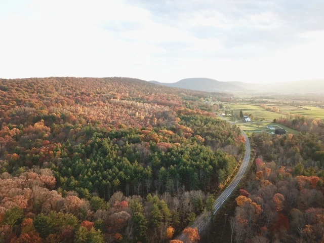 Nearby Listing Image