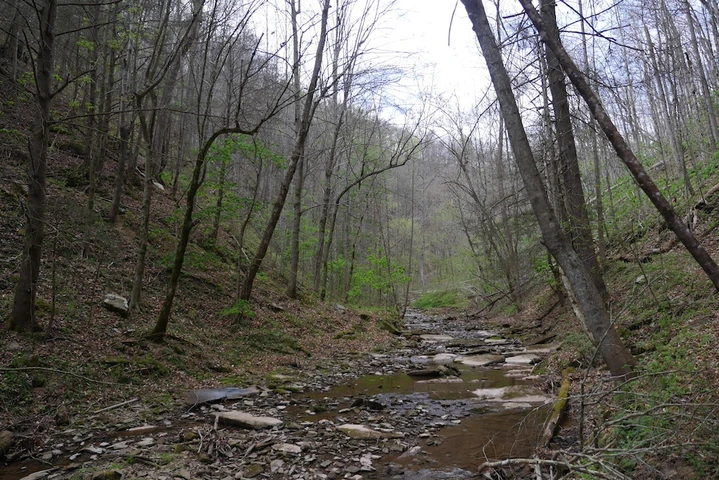 Nearby Listing Image