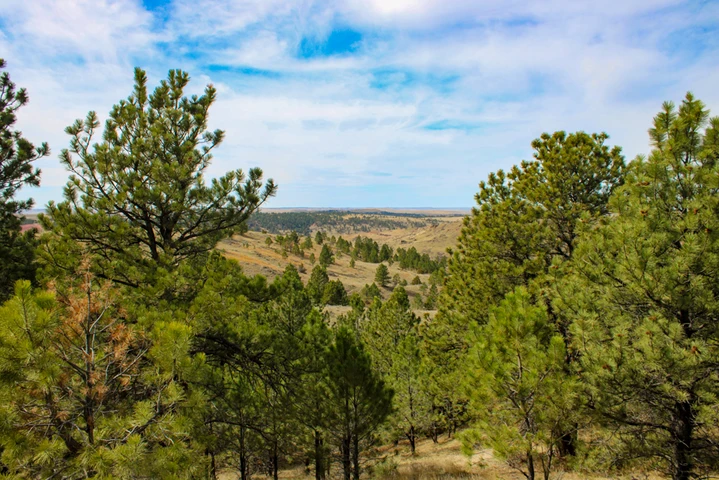 Nearby Listing Image